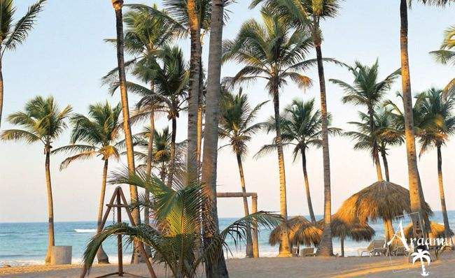 Dominika, Excellence Punta Cana*****