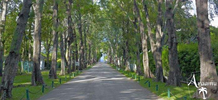Barbados, Colony Club****