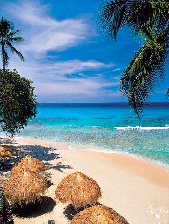 Barbados, Tamarind****+