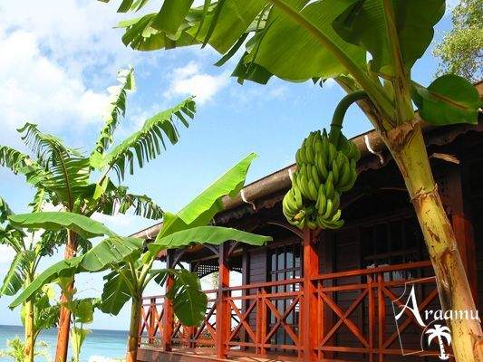 St. Lucia, Calabash Cove*****