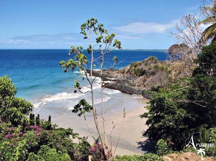 Trinidad és Tobago, Bacolet Beach Club****