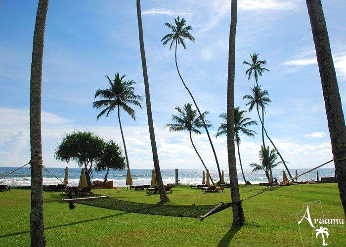 Sri Lanka, Jetwing Lighthouse****+