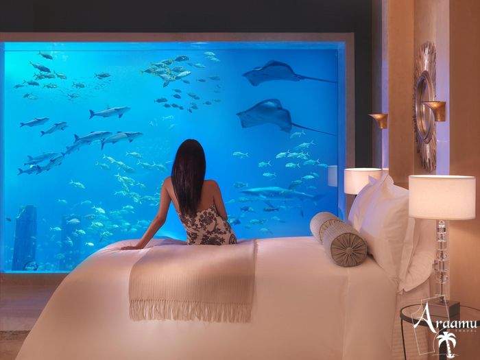 Dubai, Atlantis, The Palm*****+