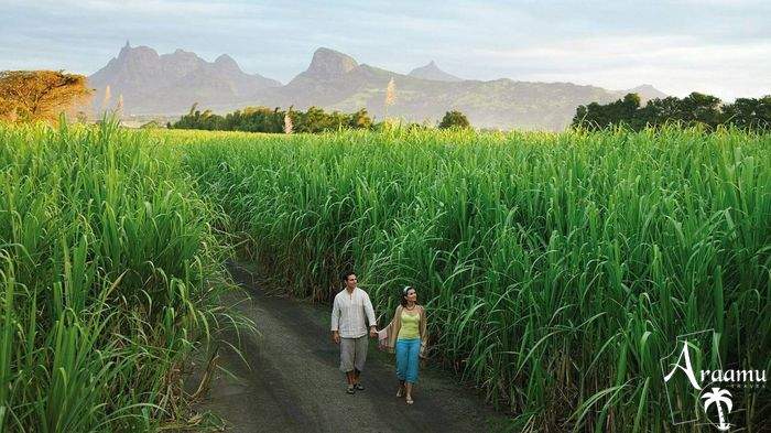 Mauritius, Four Seasons Resort Mauritius at Anahita*****