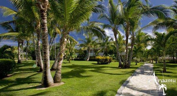 Dominika, Catalonia Bávaro Resort****