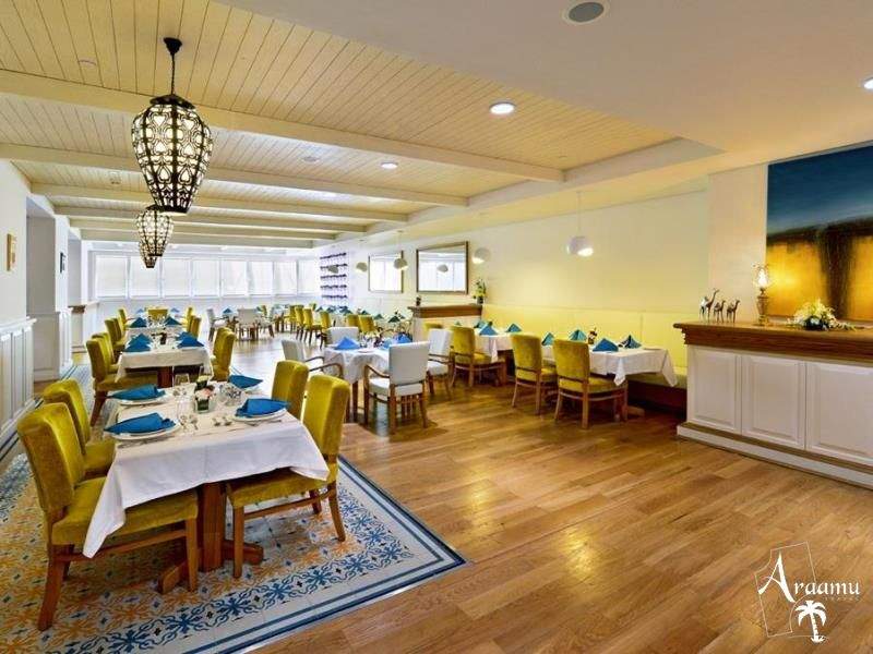 Dubai, Millennium Plaza*****