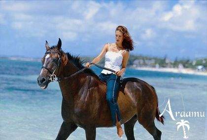 Mauritius, Sugar Beach Resort*****