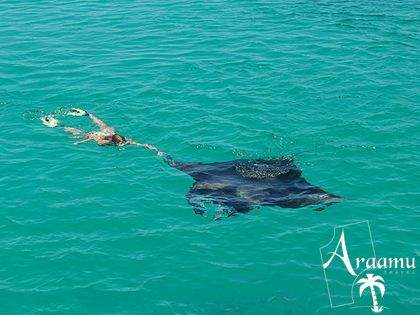 Maldív-szigetek, Madoogali Tourist Resort****