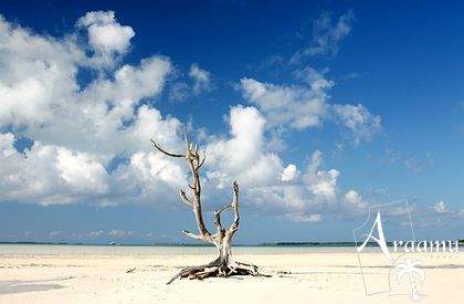 Bahamák, Pink Sands Hotel****