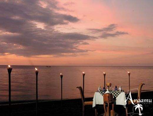 Bali, Puri Bagus Lovina****