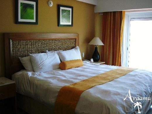 Dominika, Occidental Carib****