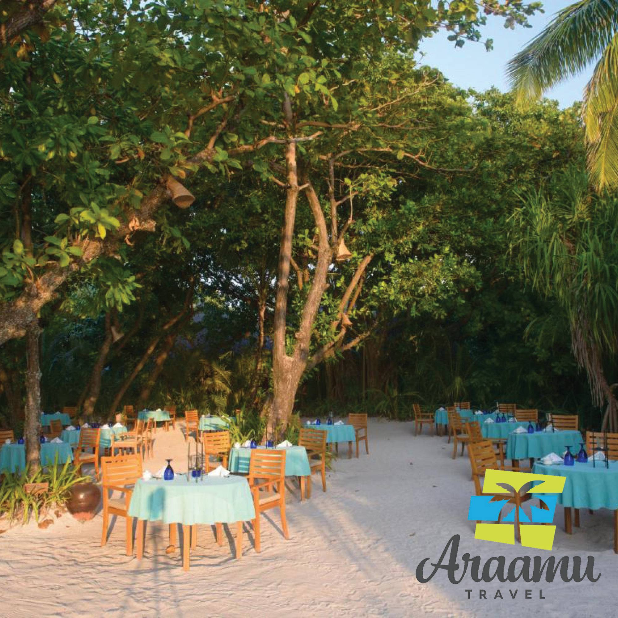 Maldív-szigetek, Coco Palm Dhuni Kolhu****+