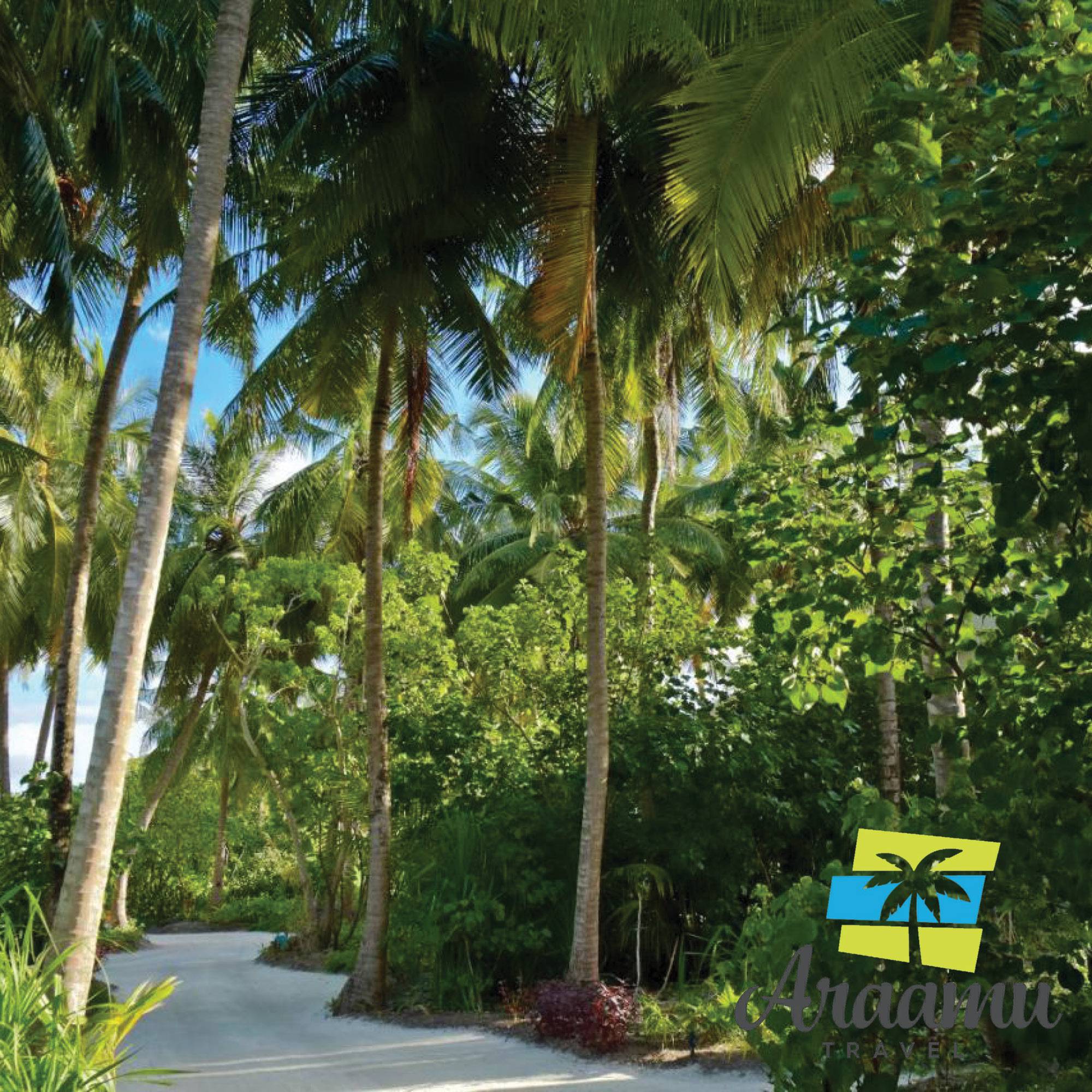 Maldív-szigetek, Kandima Maldives****+