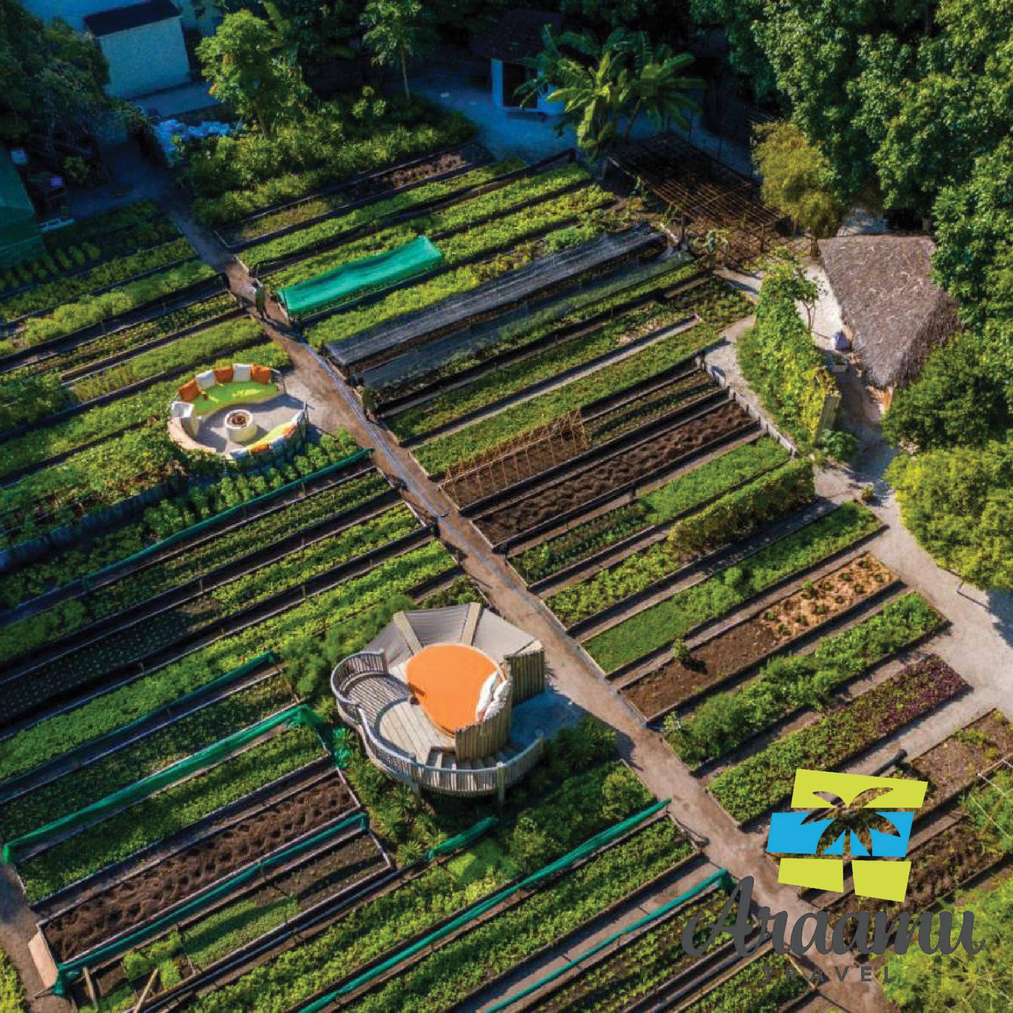 Maldív-szigetek, Soneva Fushi by Six Senses******