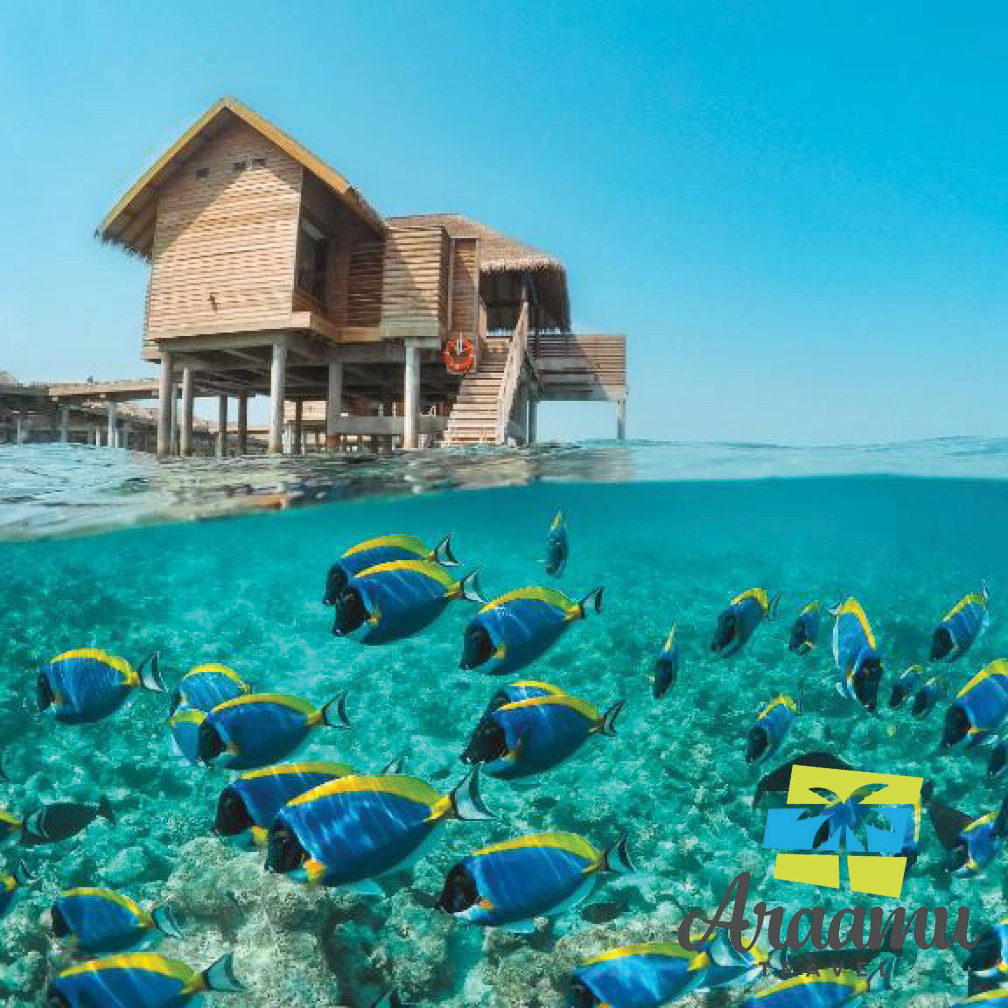 Maldív-szigetek, Vakkaru Maldives*****+